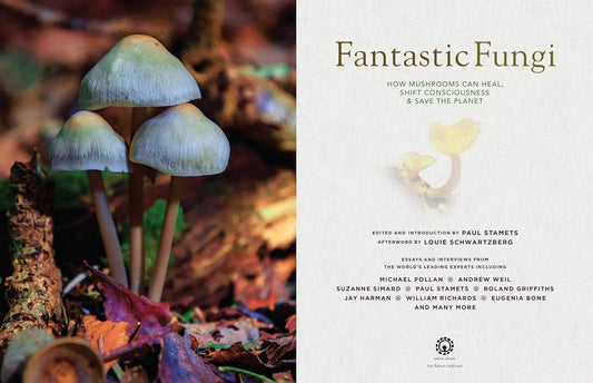 Fantastic Fungi: How Mushrooms Can Heal, Shift Consciousness, and Save the Planet