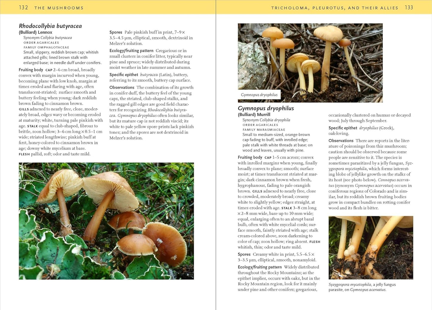 Mushrooms of the Rocky Mountain Region