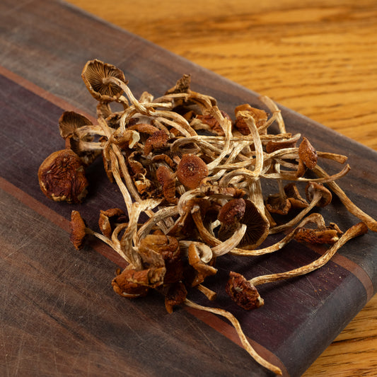 Dried Organic Cinnamon Cap Mushrooms