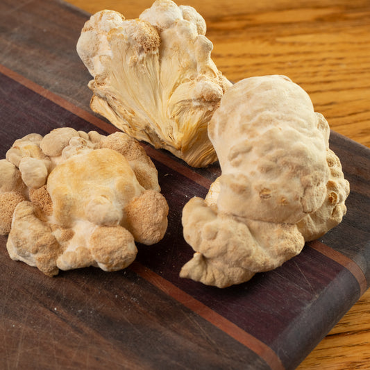 Dried Organic Lion's Mane Mushrooms