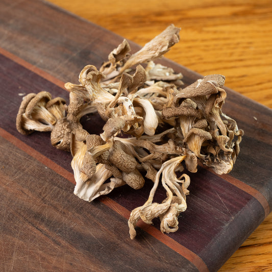 Dried Organic Oyster Mushrooms