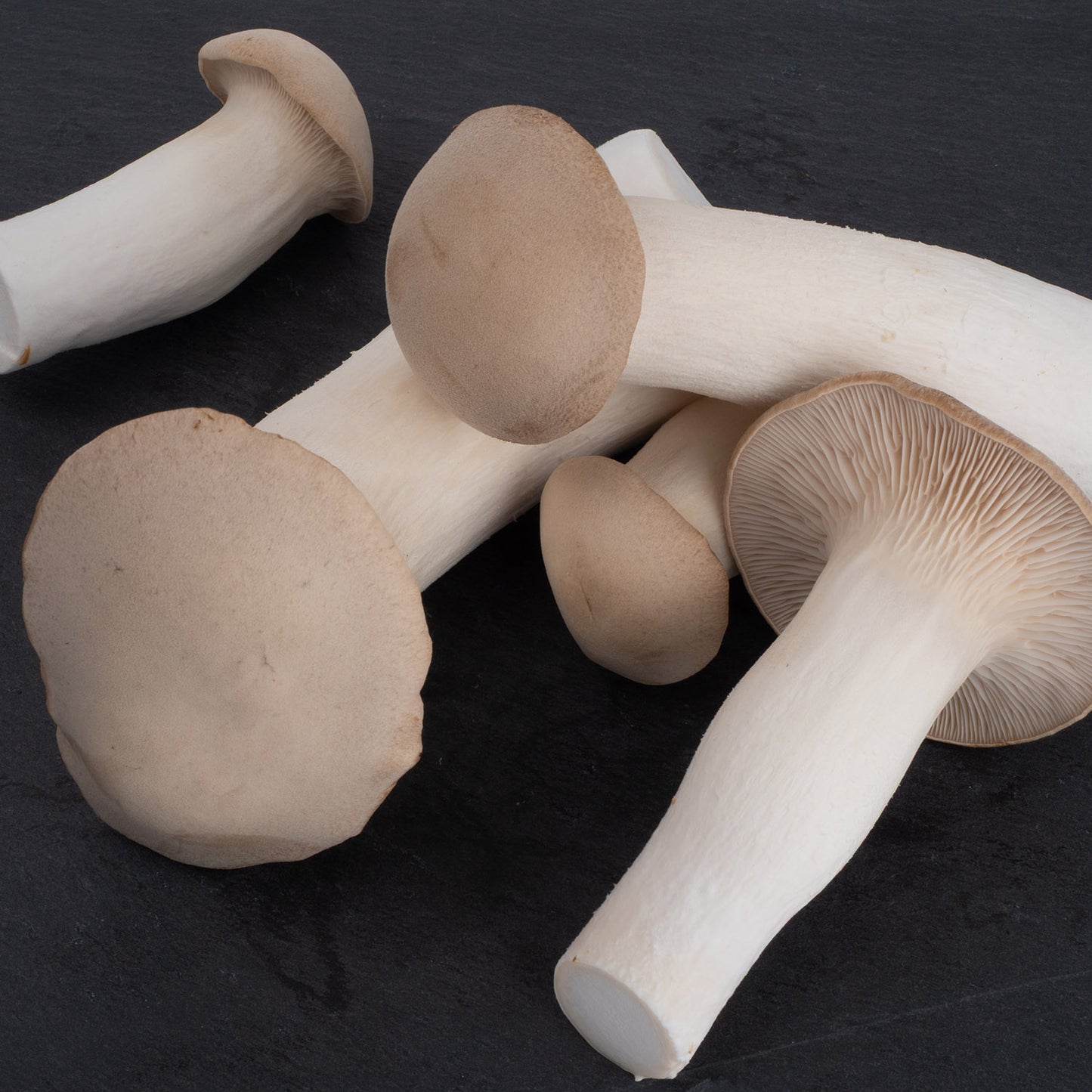 Fresh King Oyster Mushrooms