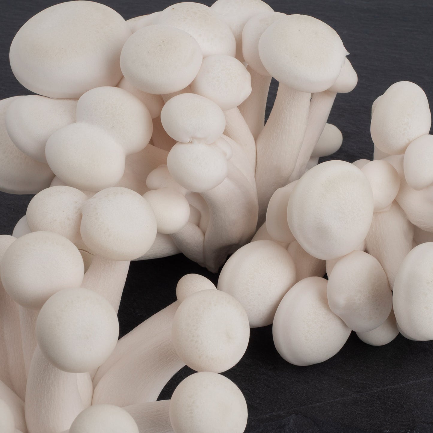 Fresh White Beech Mushrooms