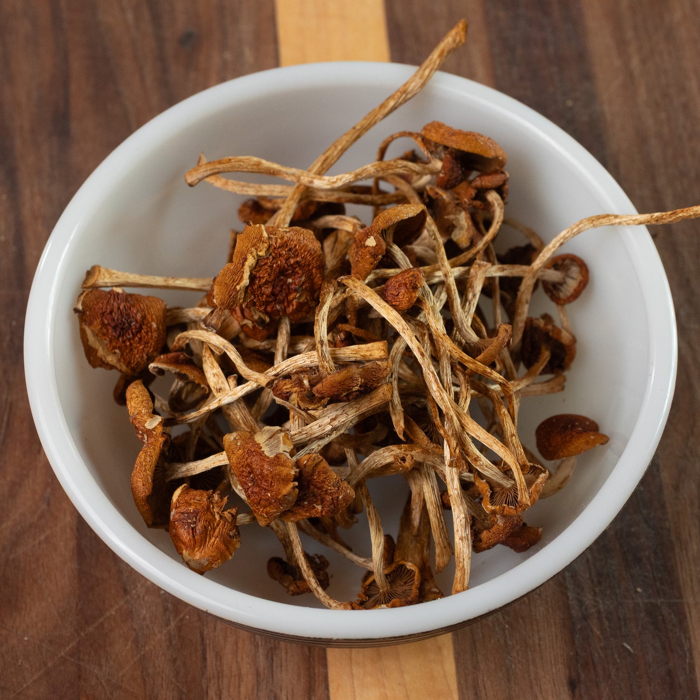 Dried Organic Cinnamon Cap Mushrooms