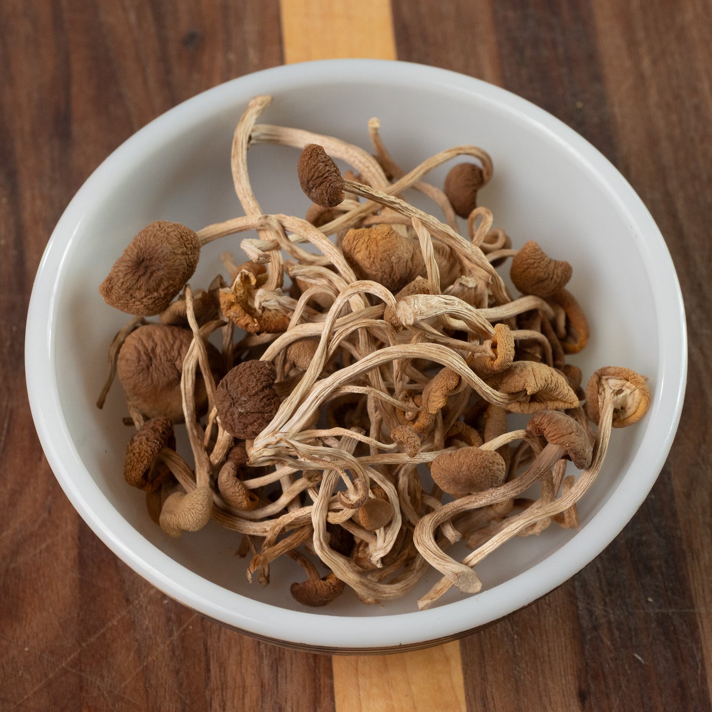 Dried Organic Pioppino Mushrooms