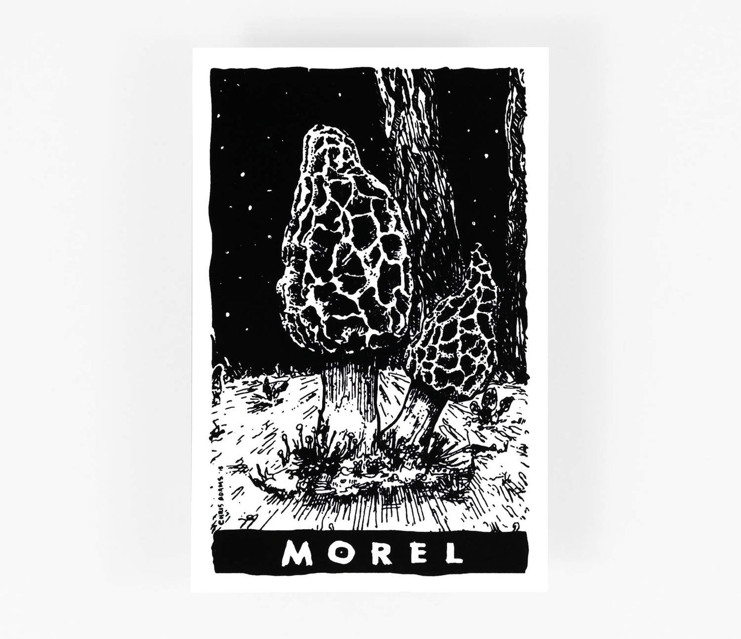 Morel Sticker