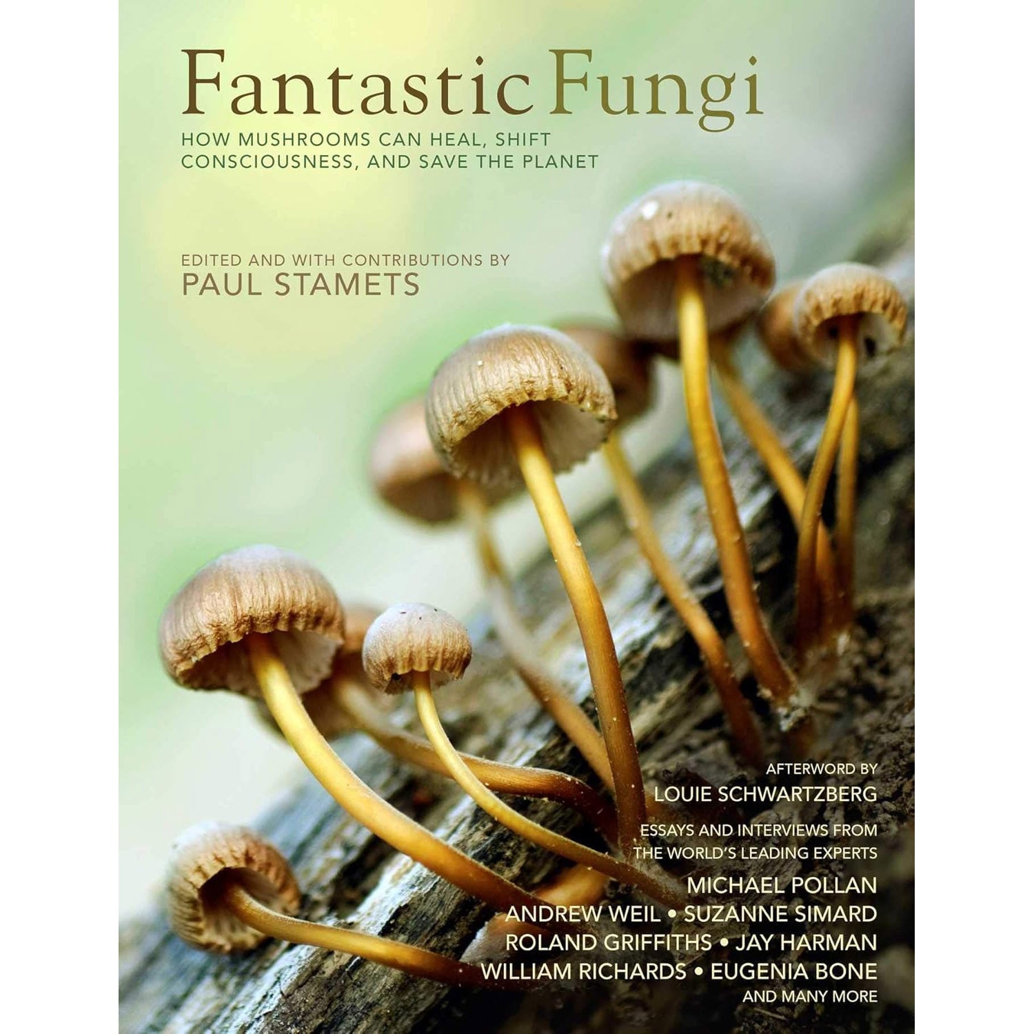 Fantastic Fungi: How Mushrooms Can Heal, Shift Consciousness, and
