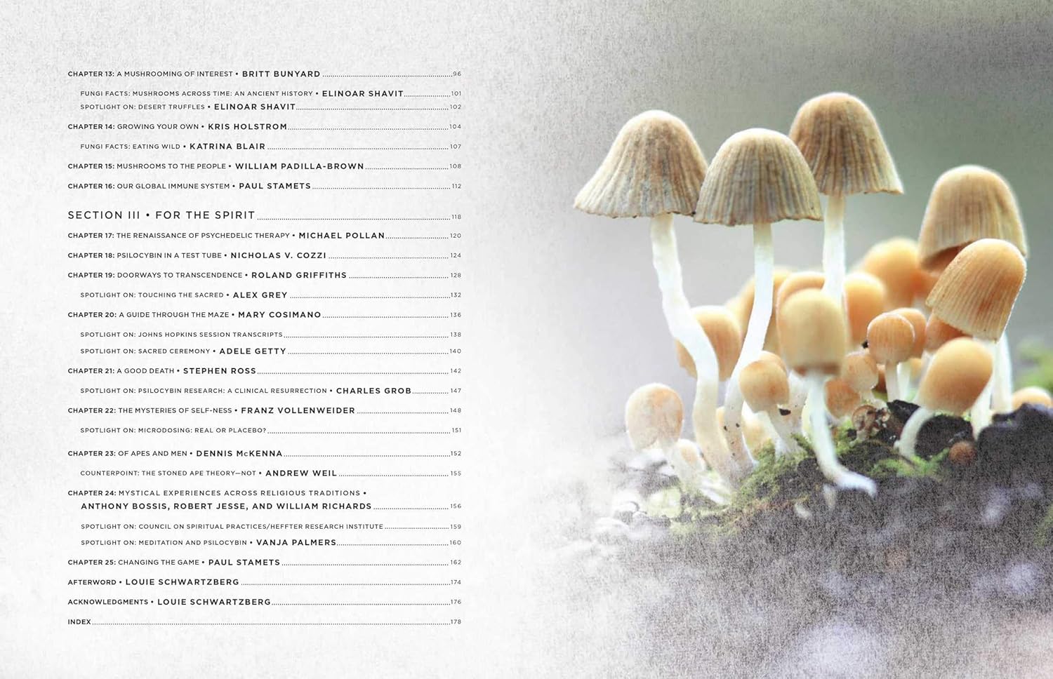 Fantastic Fungi: How Mushrooms Can Heal, Shift Consciousness, and