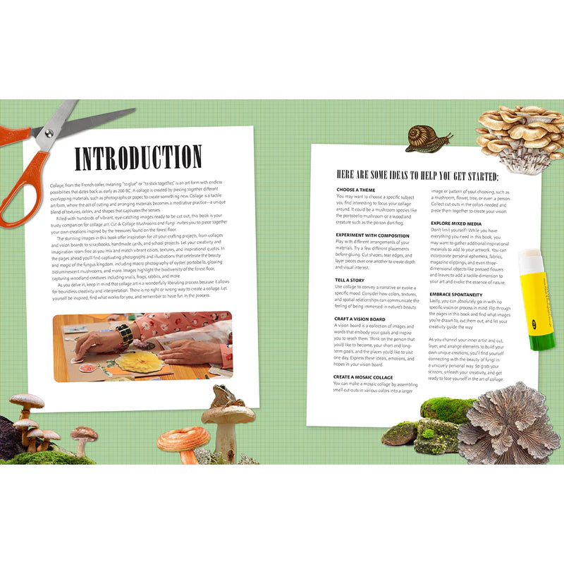 Cut and Collage Mushrooms and Fungi