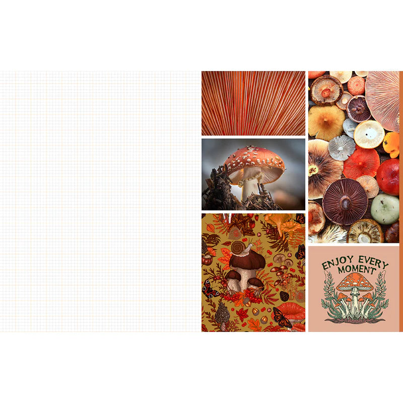 Cut and Collage Mushrooms and Fungi