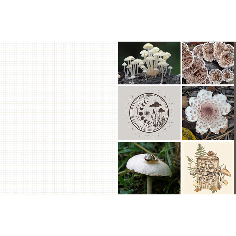 Cut and Collage Mushrooms and Fungi