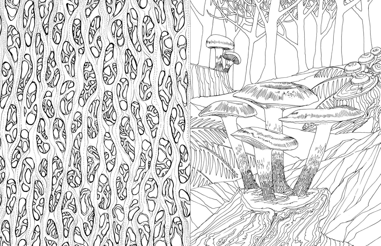 Fantastic Fungi: The Coloring Book