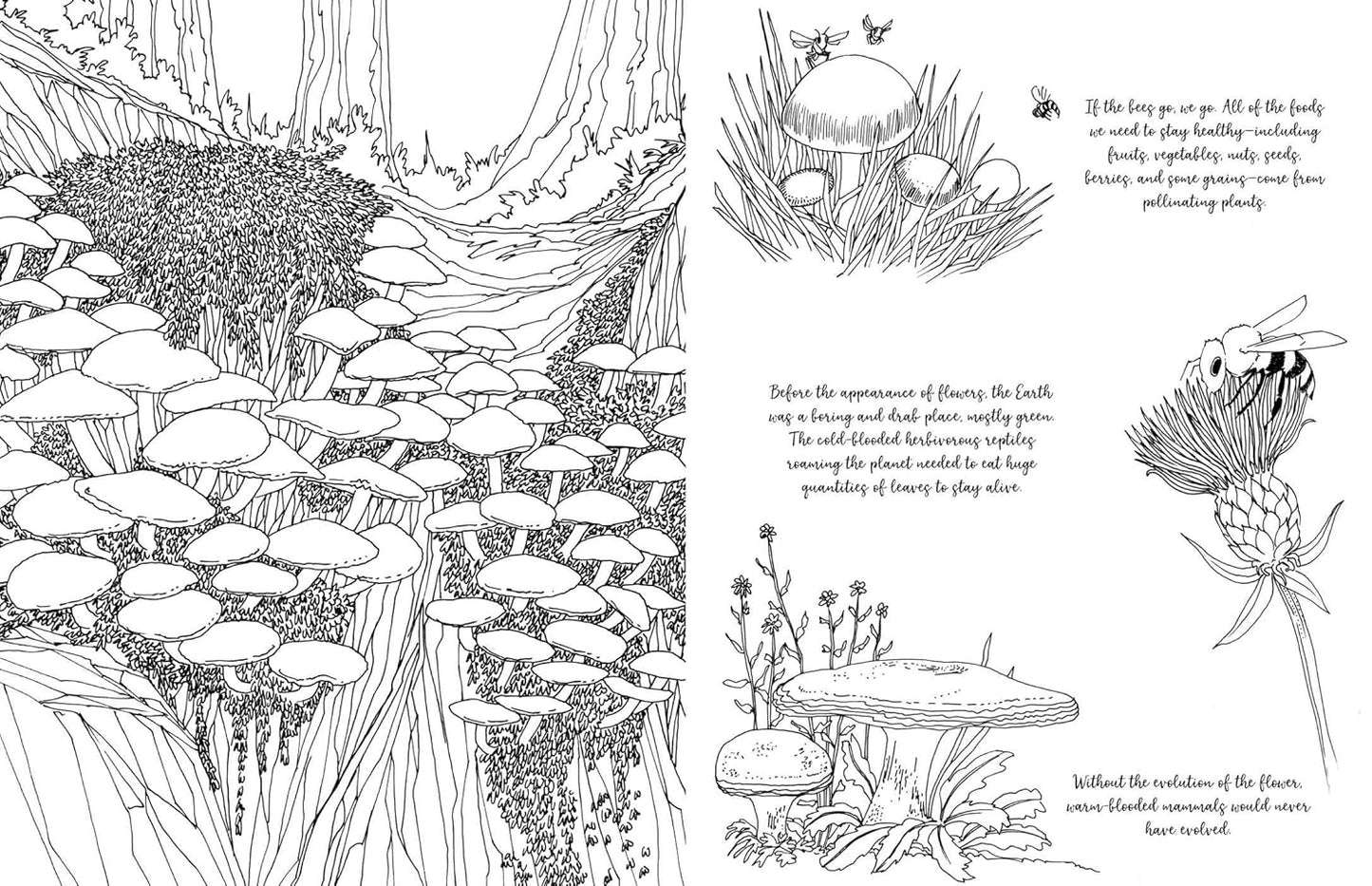 Fantastic Fungi: The Coloring Book