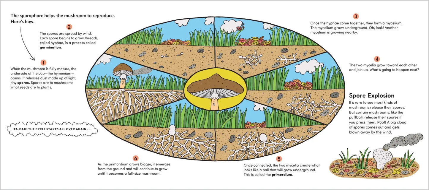 World of Mushrooms