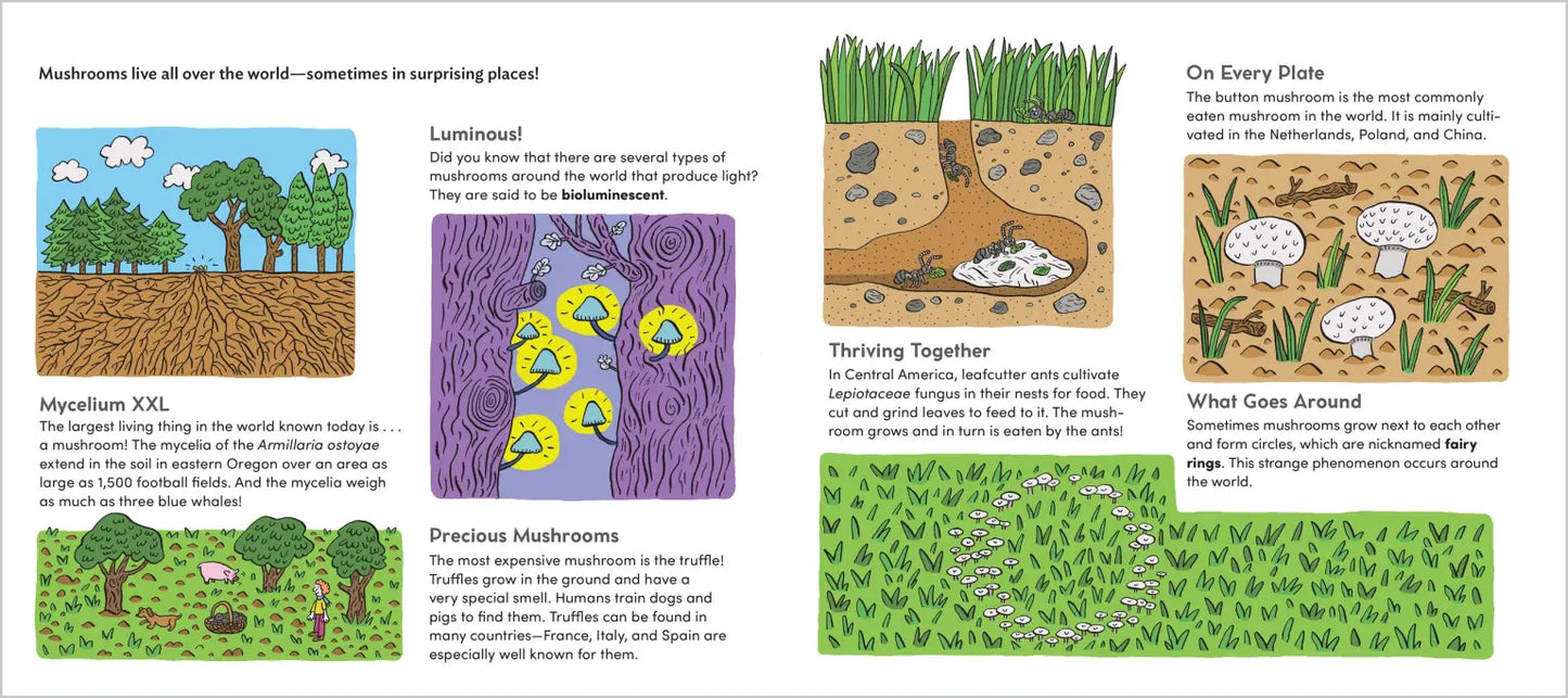 World of Mushrooms