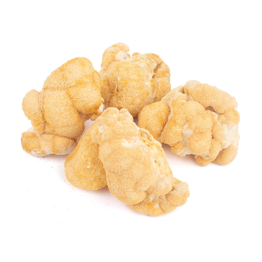 Dried Lion's Mane Mushrooms