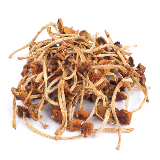 Dried Cinnamon Cap Mushrooms