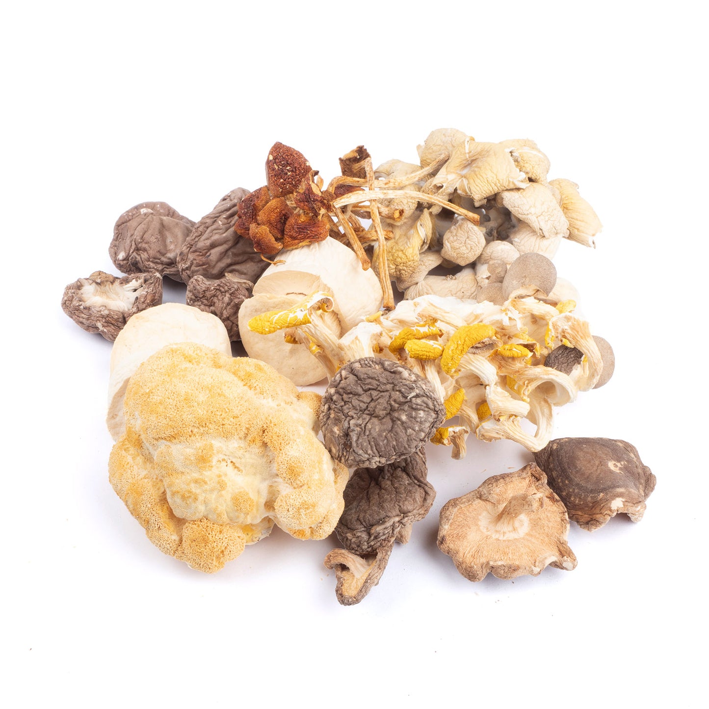 Dried Mixed Exotic Mushrooms