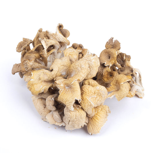 Dried Oyster Mushrooms
