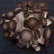 Fresh Black Pearl Mushrooms