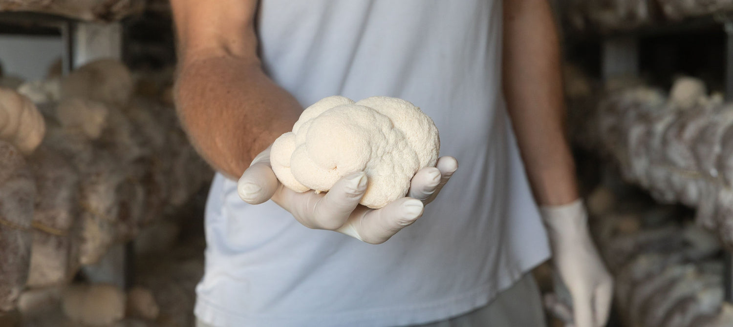 Hazel Dell Mushrooms - Photo 2