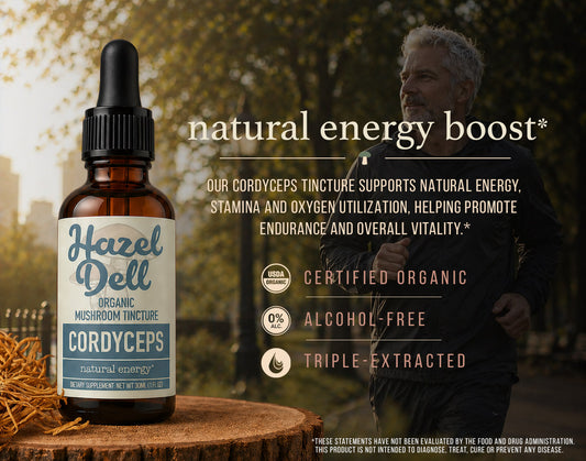 Cordyceps Tincture