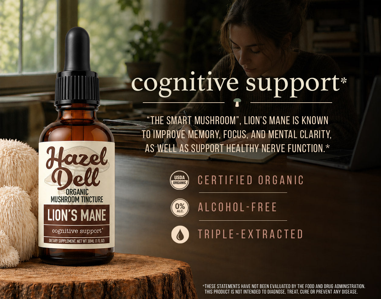 Lion's Mane Tincture