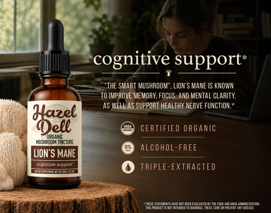 Lion's Mane Tincture