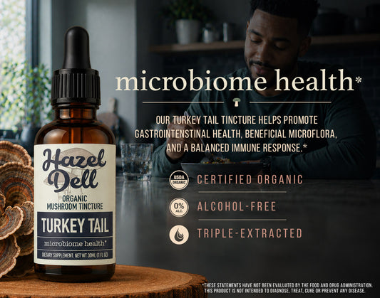 Turkey Tail Tincture
