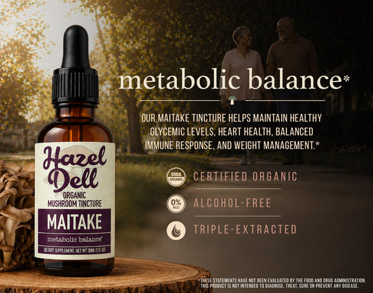 Maitake Tincture