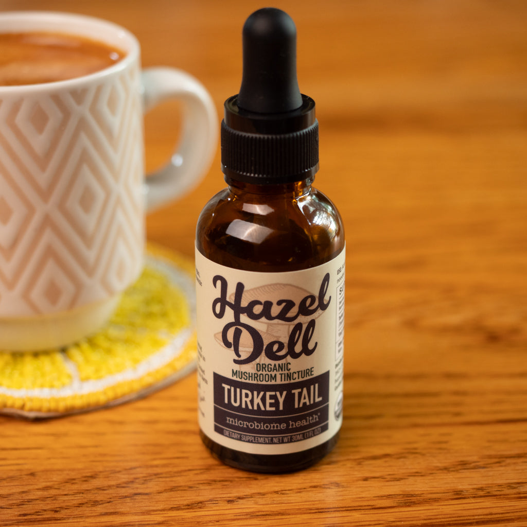 Organic Turkey Tail Tincture