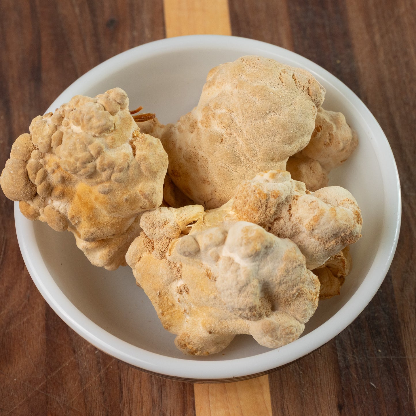 Dried Organic Lion's Mane Mushrooms