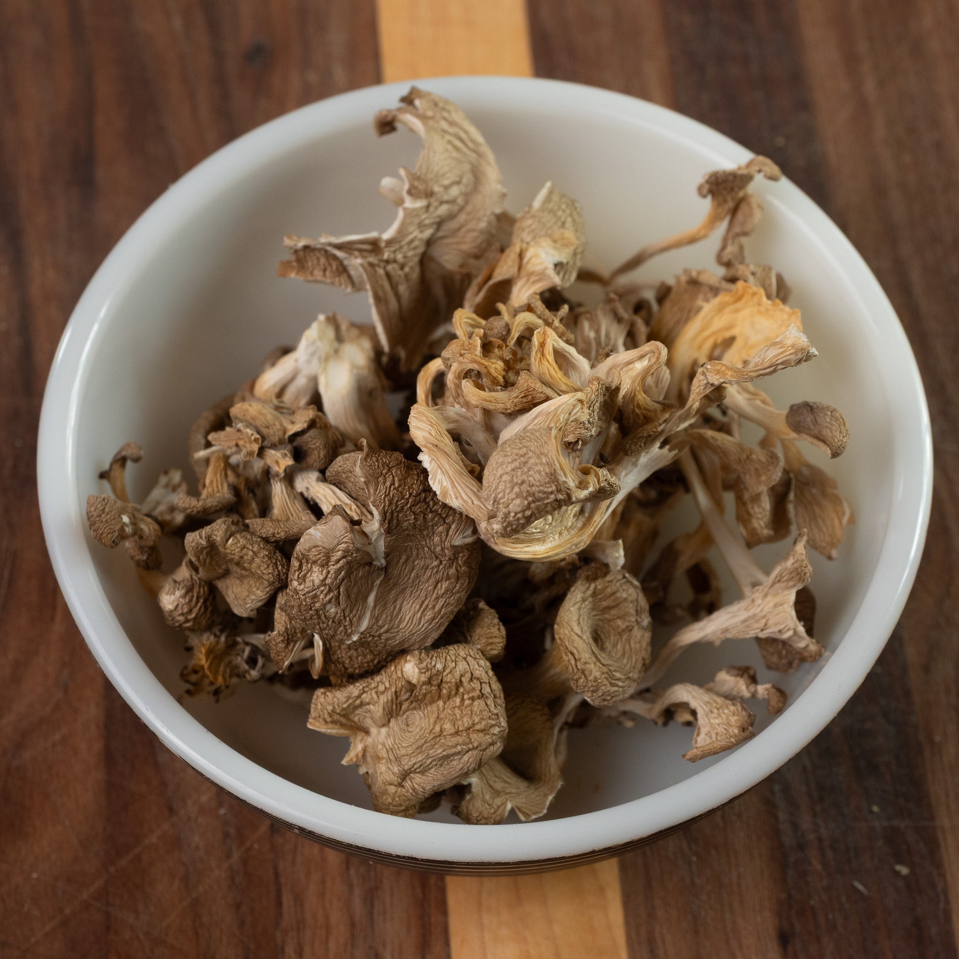 Dried Organic Oyster Mushrooms