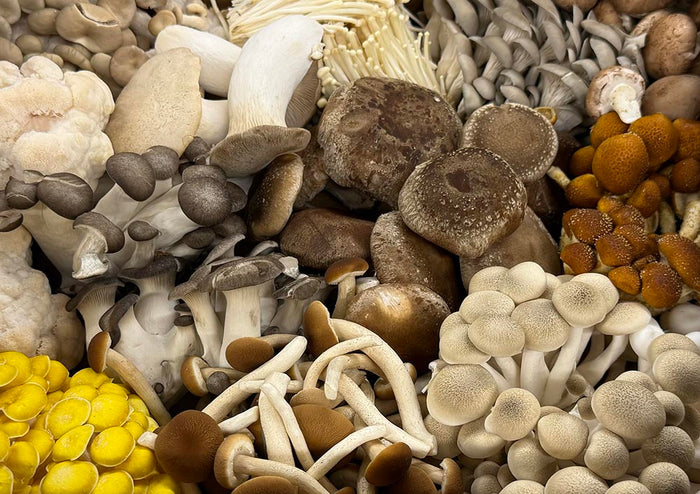 Assorted types of mushrooms including white, brown, and yellow varieties.