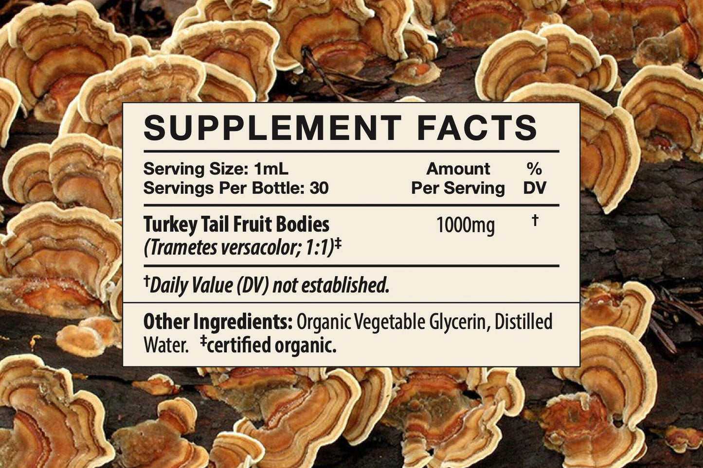 Turkey Tail Tincture