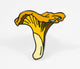 Chanterelle Lapel Pin by Berkley Illustration