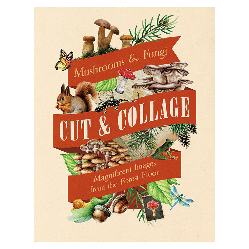 Cut and Collage Mushrooms and Fungi