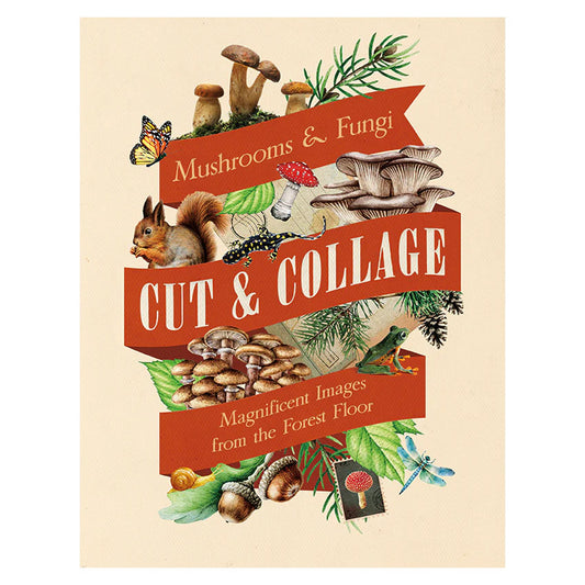 Cut and Collage Mushrooms and Fungi